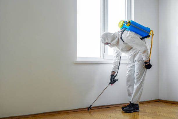 Pest Control for Restaurants in Cannon Falls, MN